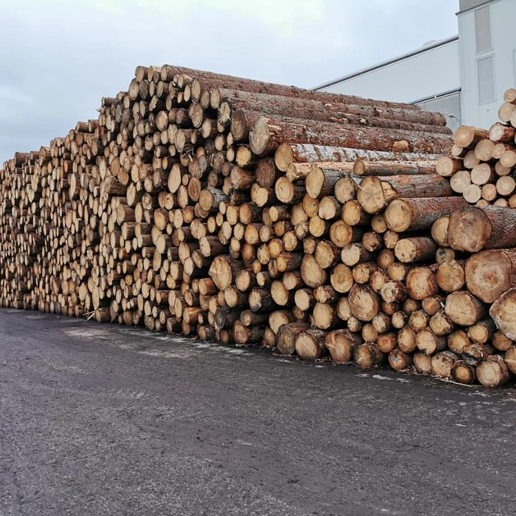 Beech Wood Logs and Lumber/Oak Wood Logs