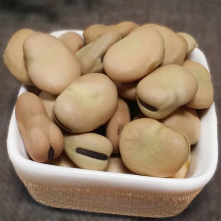 Качественная фасоль Faba в