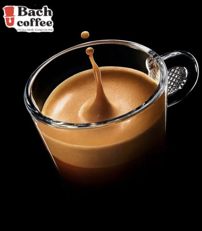 INSTANT SOLUBLE  POWDER MIX CACAO  POWDER / Extra Rich & Incredibly Flavorful / Spray Dried /100% Pure, Vegan/ Direct Trade