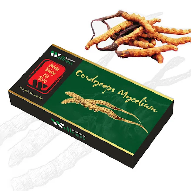 Wholesales prices Cordyceps extract products Health support Vietnamese products