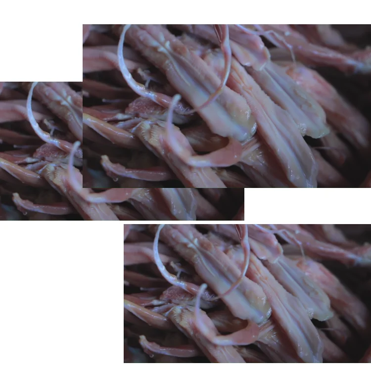 
PROINJEONJU PIJ DUCK PIJ ducktongue fresh frozen duck tongue korean duck poultry frozen tongue 