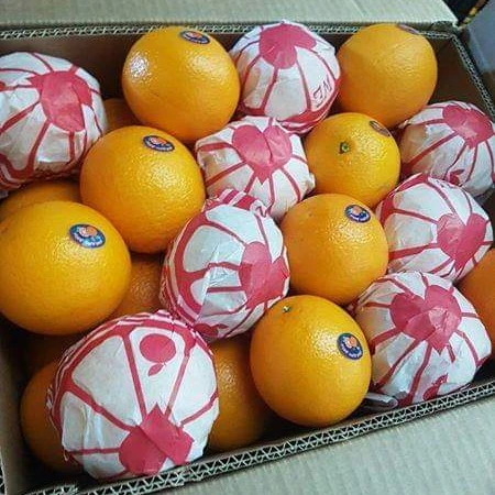 HIGH quality Egyptian fresh Healthy Natural Valencia Orange 15 kg Carton box  for juices