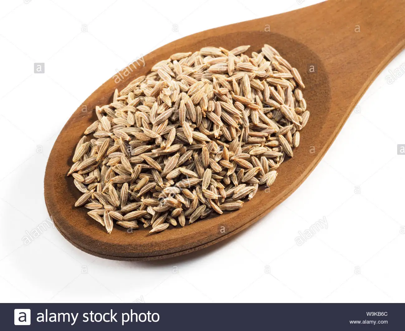 Premium quality cumin seeds at good price Nepal