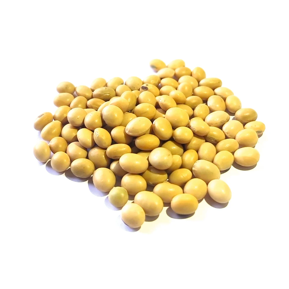 High quality soybean 25/50 kg bags or in bulk, from manufacturer