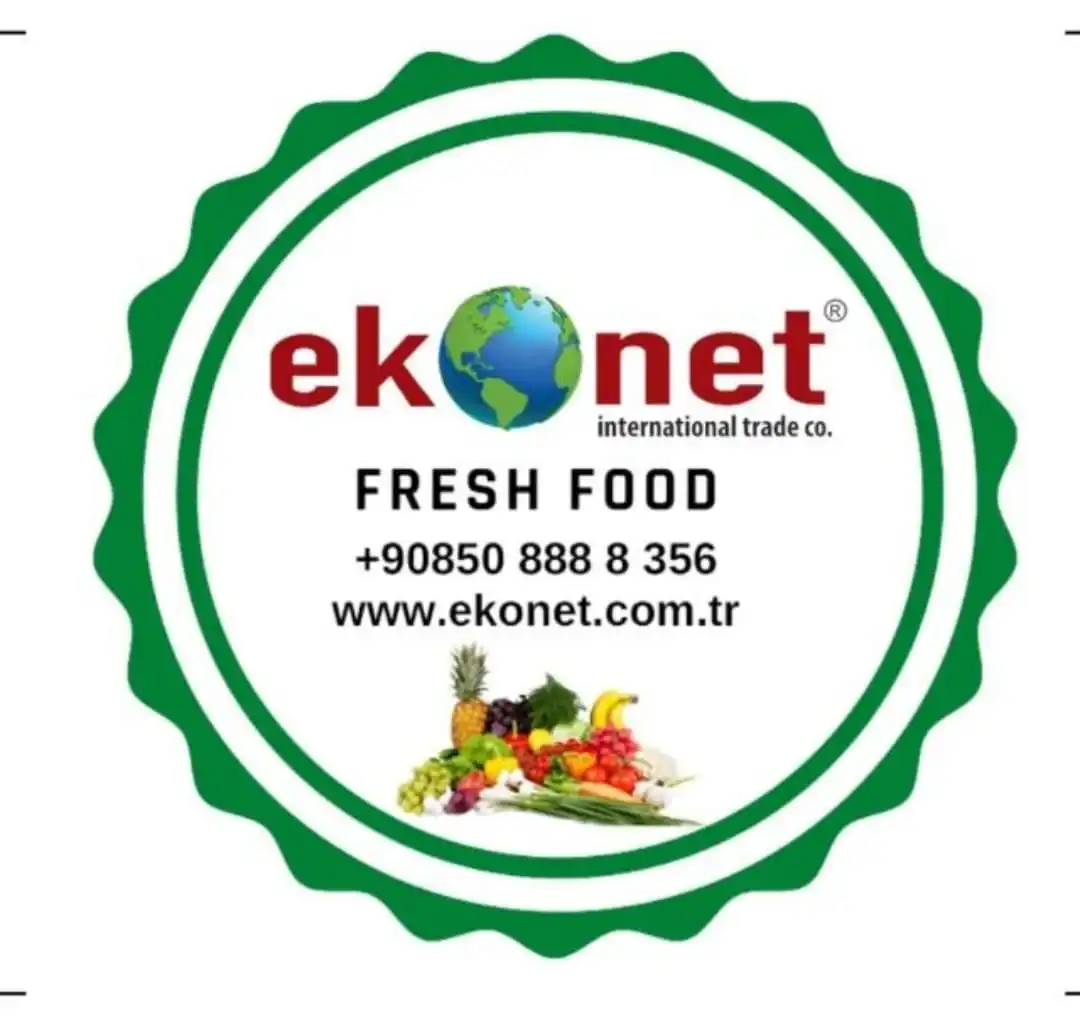 Fresh Parsley Bulk High Quality from Turkey Wholesale Green Color Flat Leaf