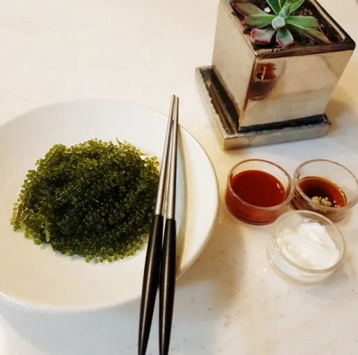  Свежие морские водоросли с пузырьками горячая Распродажа лато-водоросли маринованным покрытием в соленой воде (мс Деми + 84 961733400)