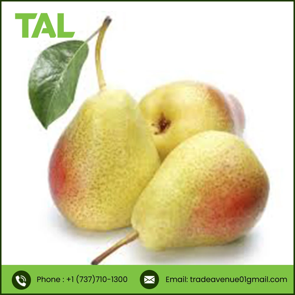 TOP QUALITY fresh green pear fruit from South Africa