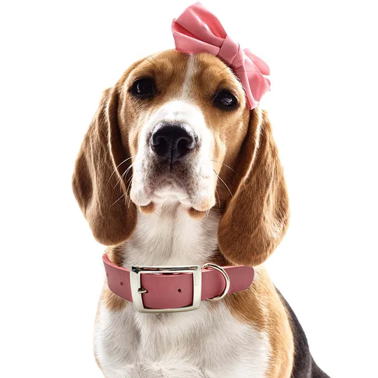 Custom Dog Collar Manufacturer High-Quality Genuine Leather Dog Collar