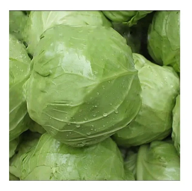 100% натуральное качество оптовый поставщик свежих овощей по низкой