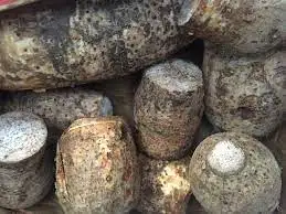 Top Quality Cleaning Fresh Long Taro Wholesale Price Fresh Long taro Vegetables Exporter