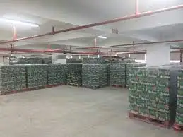 heineken1.jpg