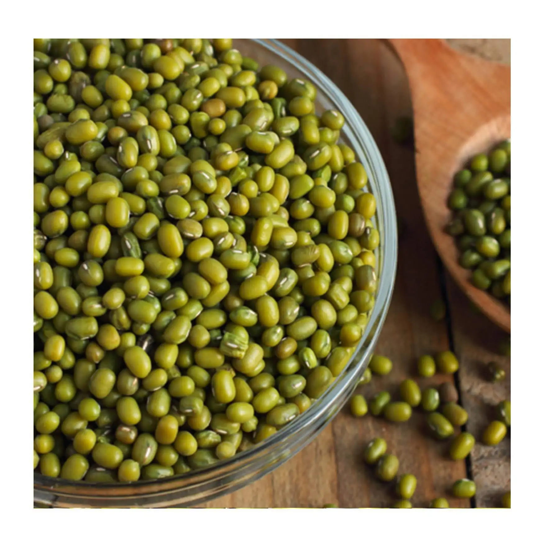 Органические бобы мунг для проращивания оптом