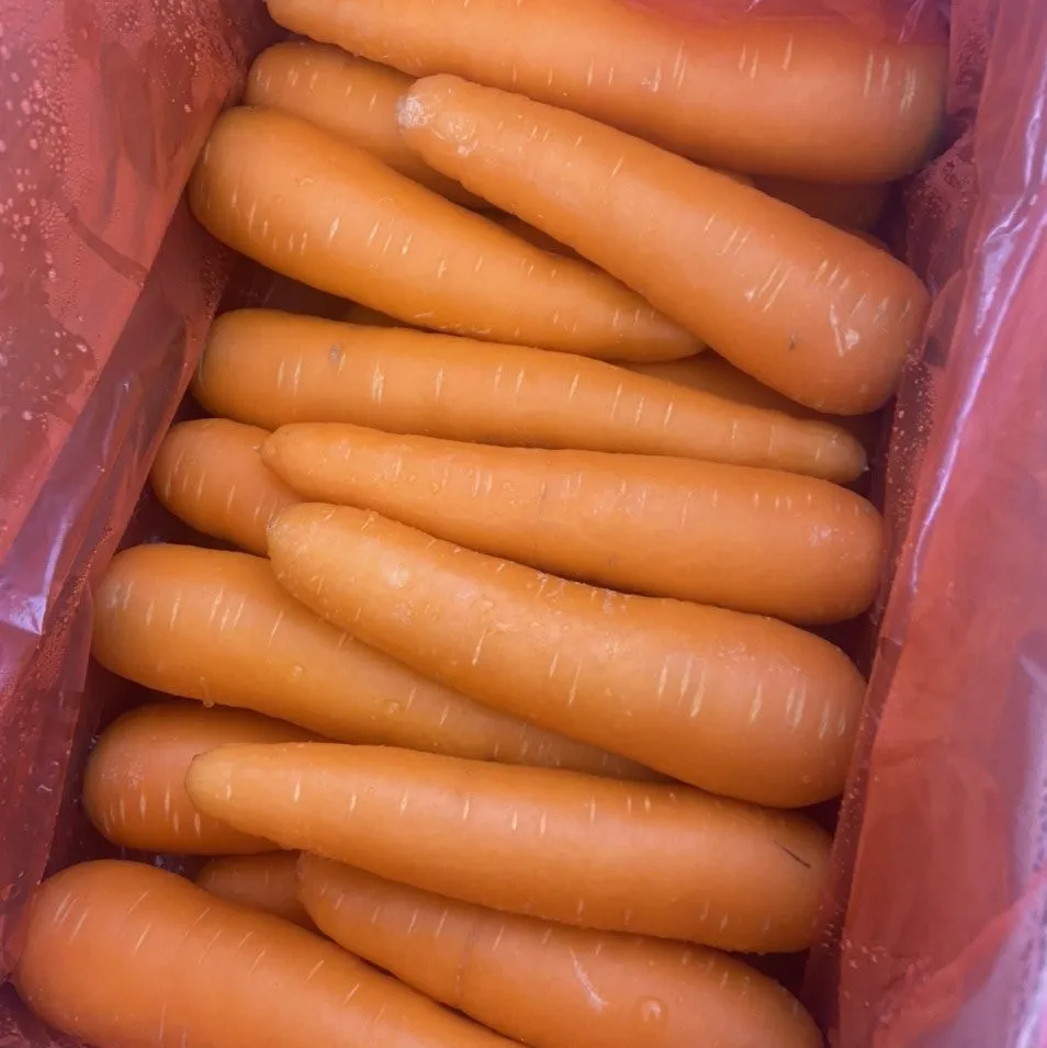 Натуральные овощи высокого качества Вьетнам-свежий натуральный вкус моркови