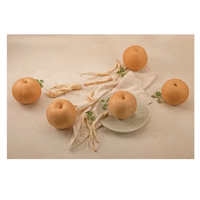 
[Samsiokki] Korean Homestyle Beverage Pears & Bellflower Sikhye 