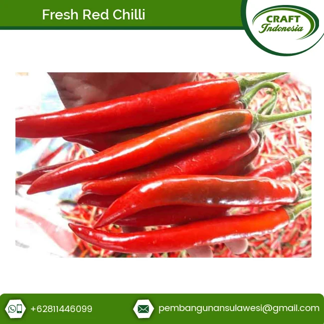 Farm Fresh Spicy Fresh Red Chili Pepper Super at Superb Price