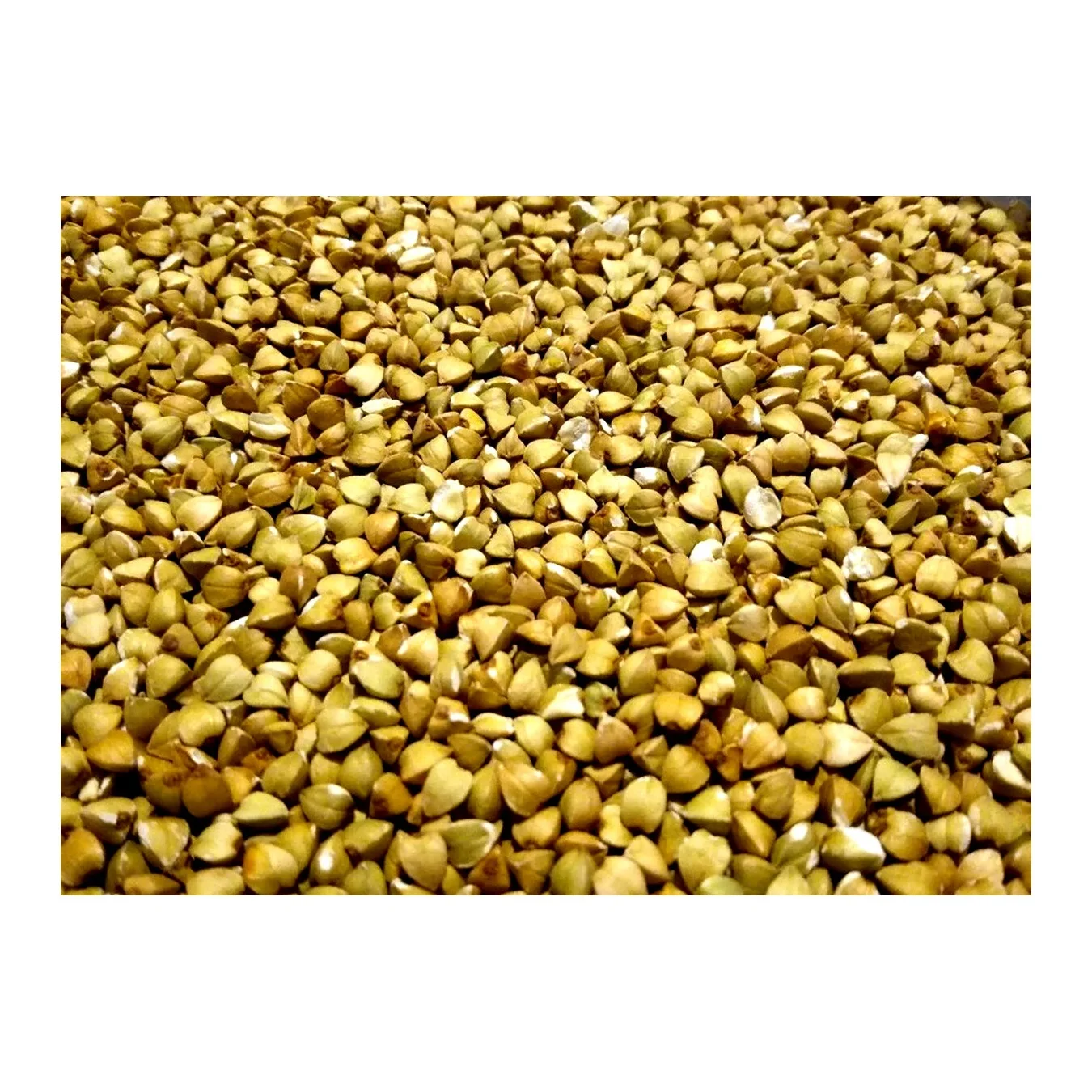 
Organic green buckwheat, wholesale priced groats for cooking 