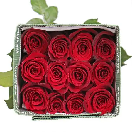Premium quality Real  fresh cut flowers  red roses variety Explorer  70 cm natural not artificial decorative flowers