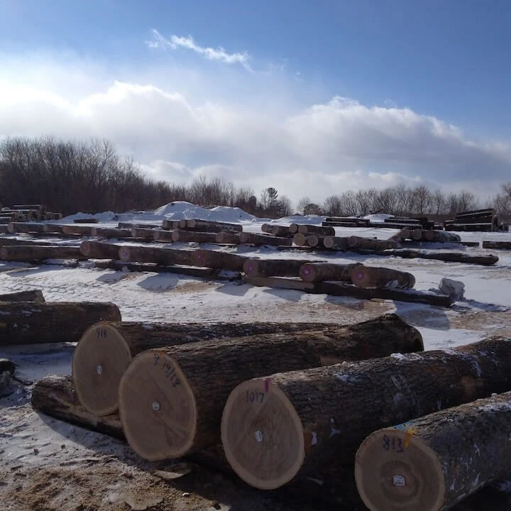 30+ cm Beech Saw Logs