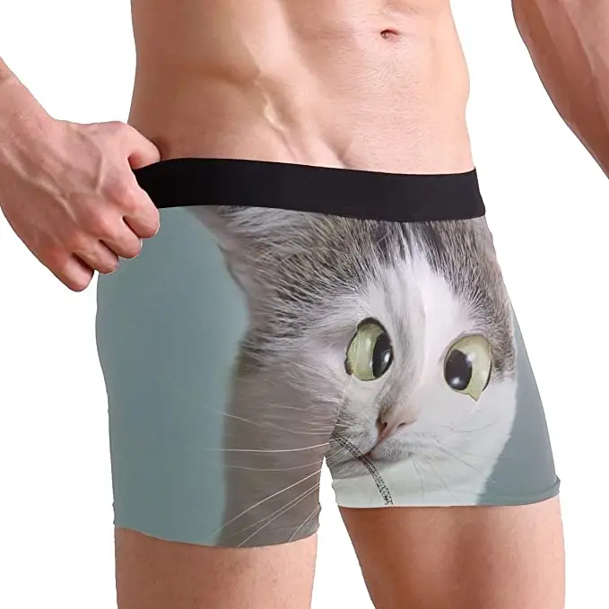 
 Высококачественное нижнее белье для мальчиков, бесшовные боксеры с принтом кота для подростков  