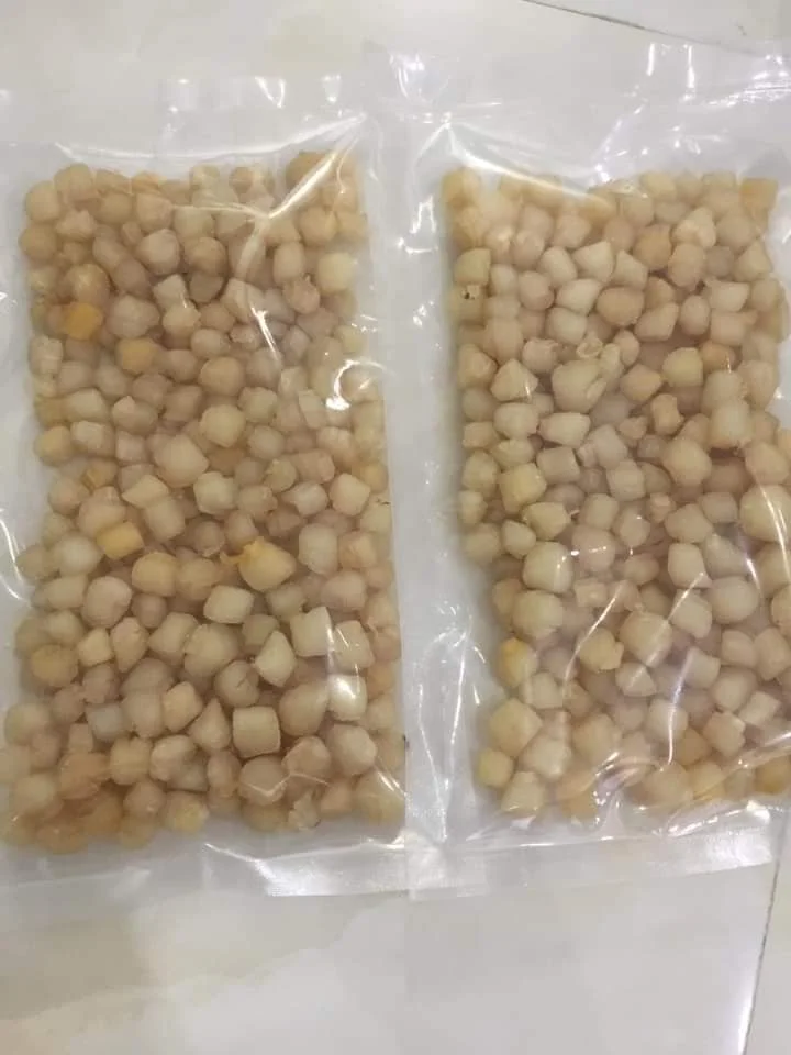 Dried Scallop Without Shell With Delicious Taste For Cooking From Vietnam