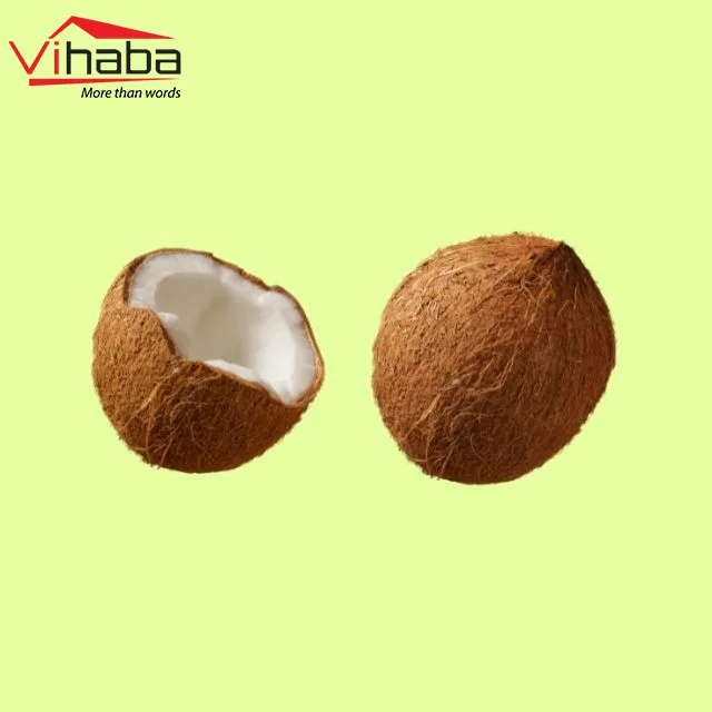 Top exporter dehydrated fruit organic coconut vietnam nuts and dried fruit export of coconut fiber