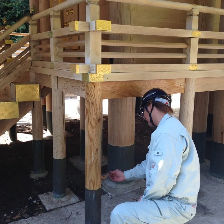 
boric acid-based termiticides aqueous solution SOUFA 