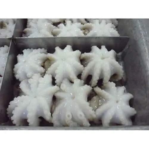 Good fresh Frozen round octopus in Fr