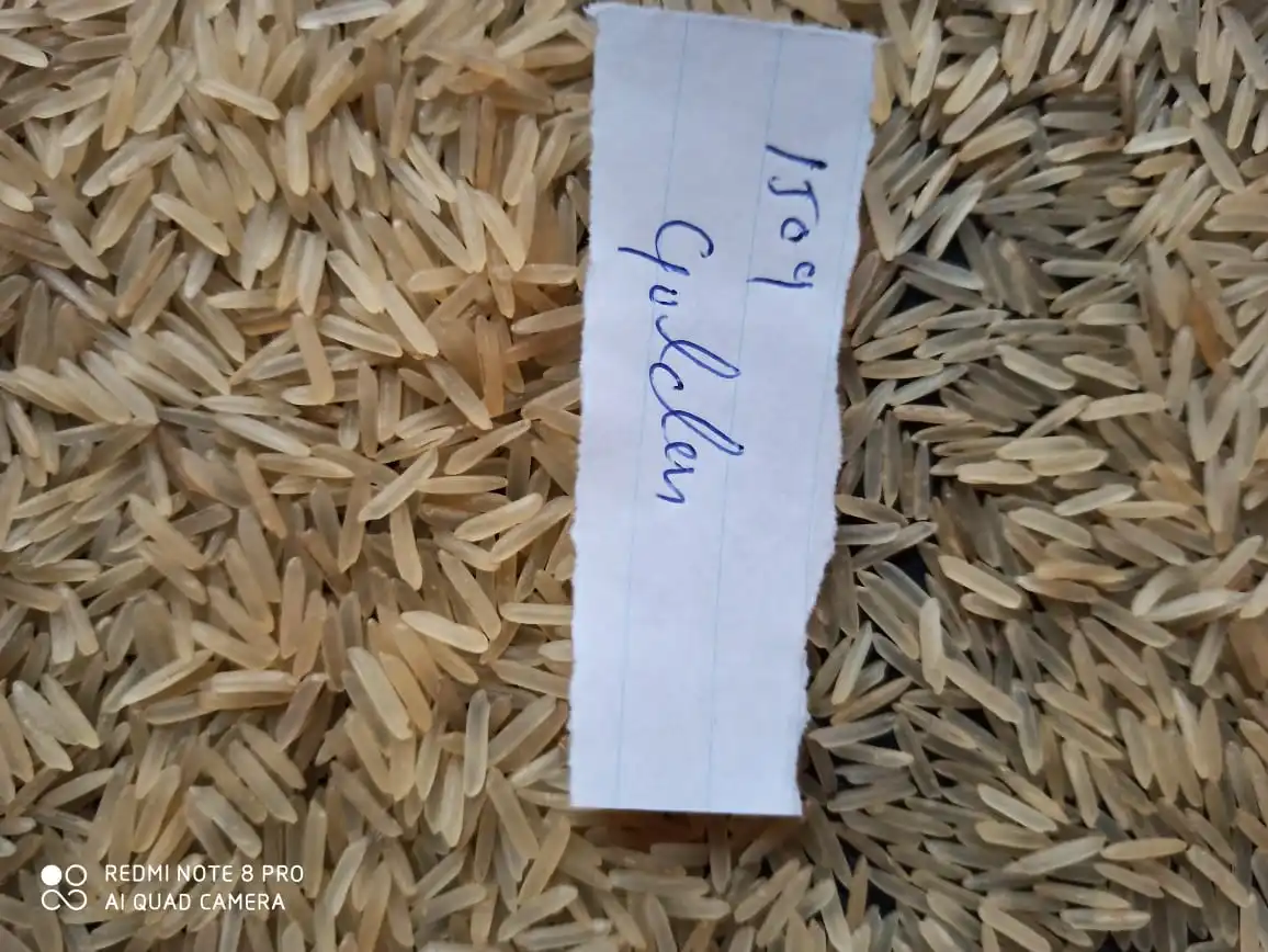 
Golden Sella Indian Basmati Rice Exported From India By VENSAI BASMATI 