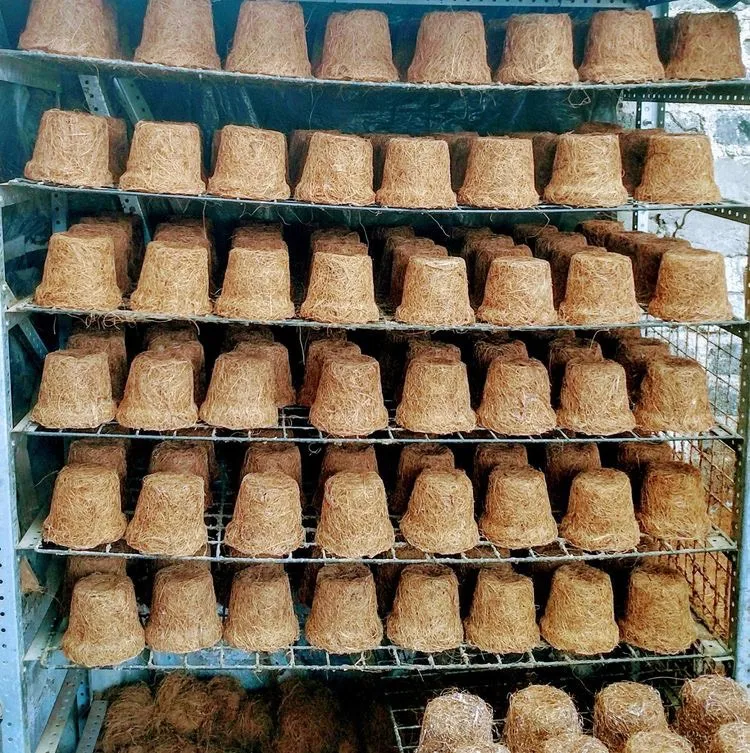 Wholesale 100% Biodegradable COIR POT Planter for Garden from Viet Nam