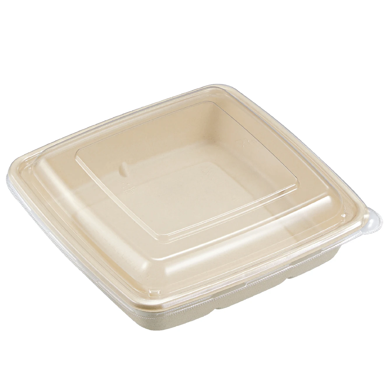 
100 биоразлагаемая пищевая коробка, квадратная пищевая коробка из бамбукового волокна 