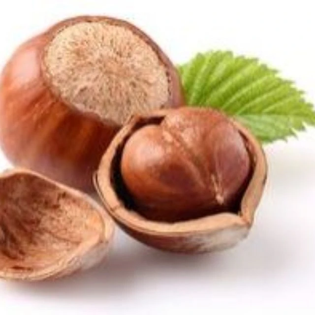 Сертифицированные 100% орехов в оболочке жареные лесные орехи для продажи