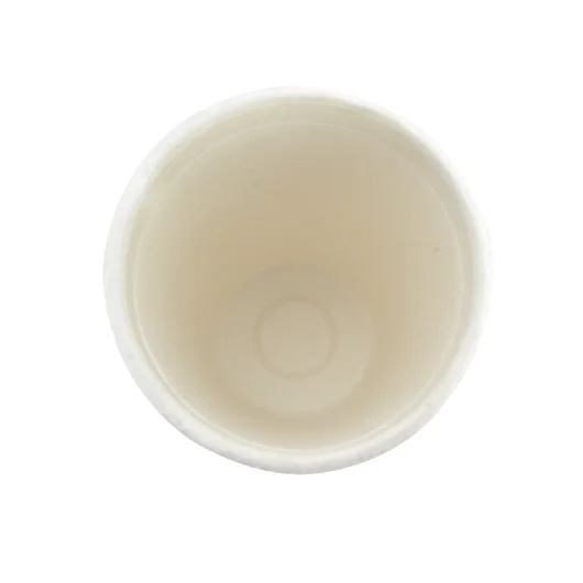 Compostable Sugarcane Biodegradable Cup 260 ml