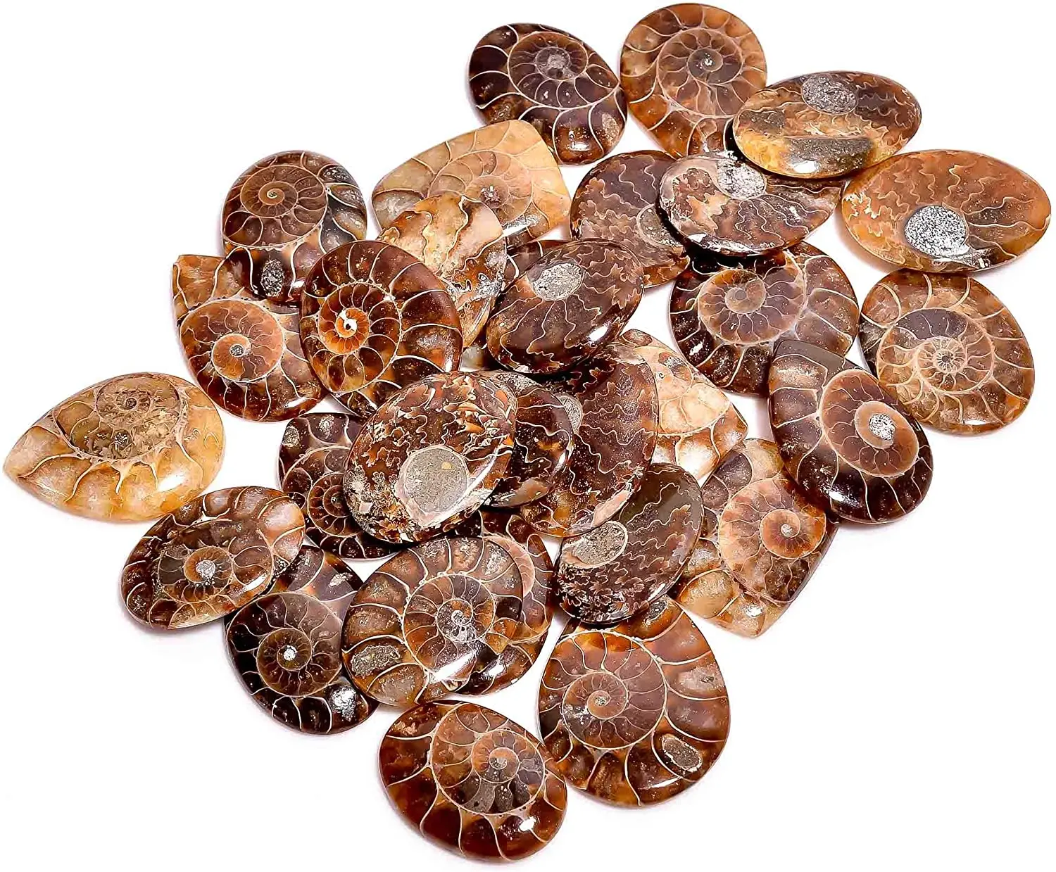 Highest Top Selling Assorted Quality Wholesale Price Bulk Lot Sale Loose Jewelry Gemstone Cabochon Stone Natural Ammonite