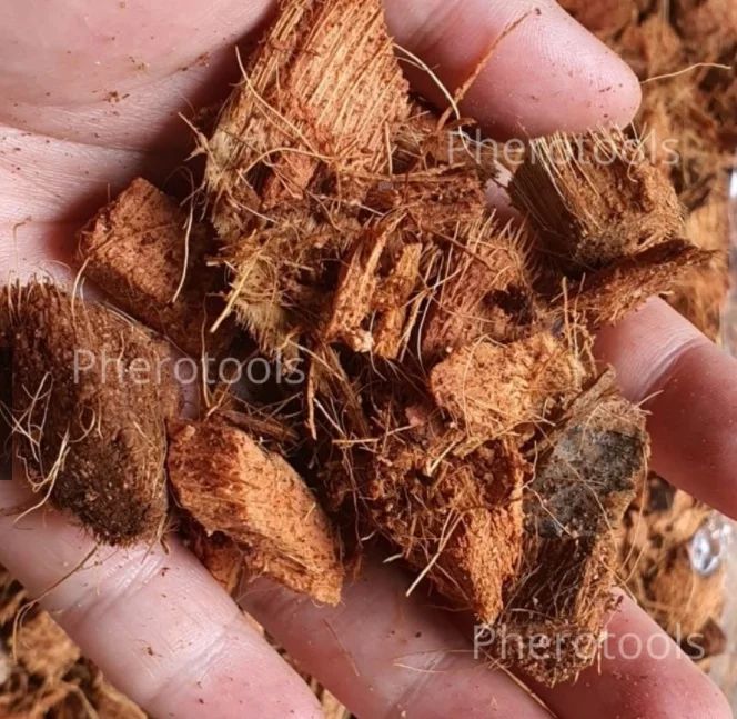 Cocopeat мелко дробленый кокос измельченный кокосовый коир уличный Садовый цветок декоративное дерево растение семена