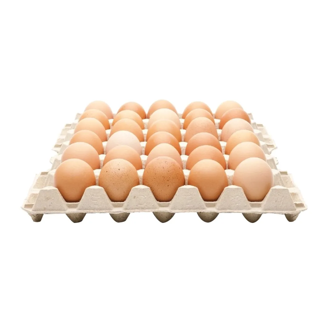 High Quality Fertile Hatching Chicken Egg/Fresh Chicken Table Eggs