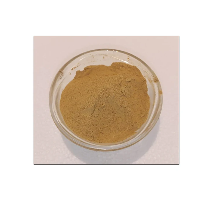 Excellent Quality High Purity Wholesale Natural Shiitake Mushroom Extract Powder for Bulk Purchase