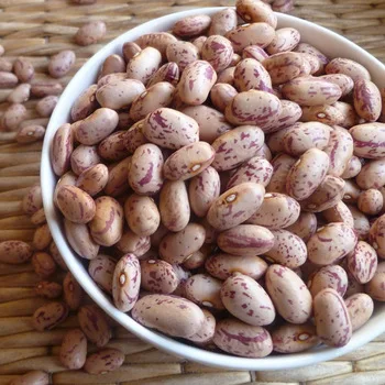 
Light Speckled kidney pinto Beans 