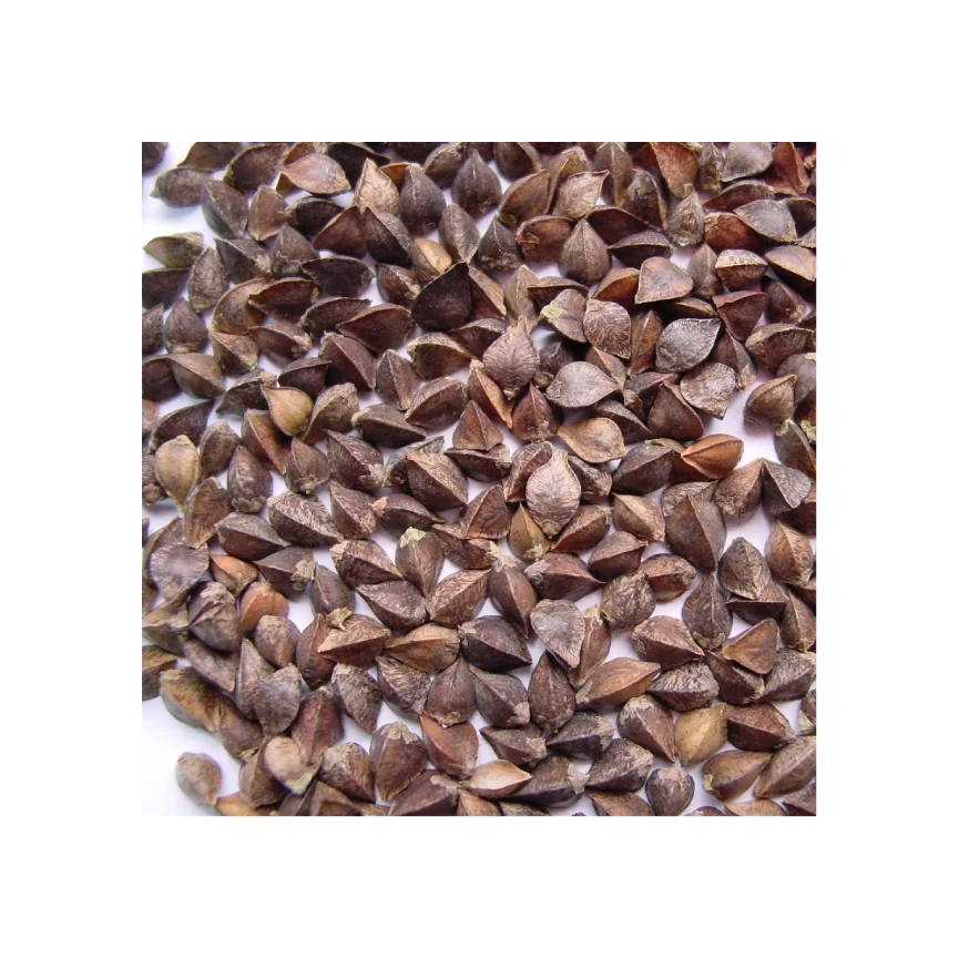 
Buckwheat raw for sale 