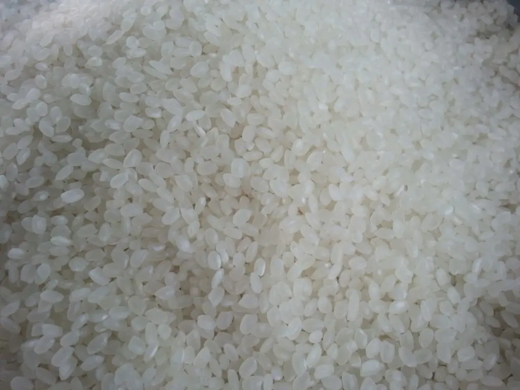 shushi rice 63 (1).jpg