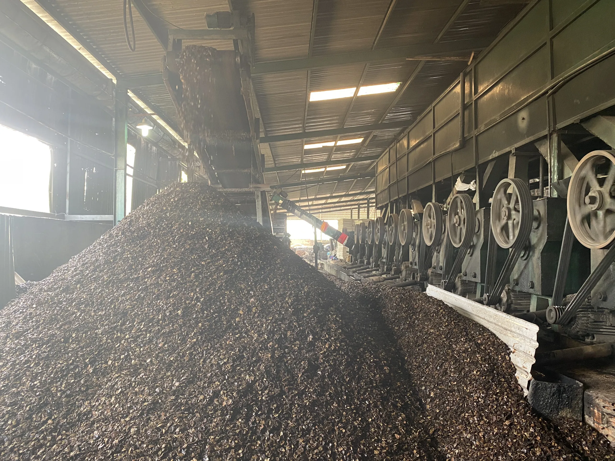 
Cashew Shell Extraction For Fuels Fertilizer 