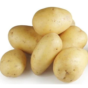 New Crop German Fresh Potatoes Available At Market Price