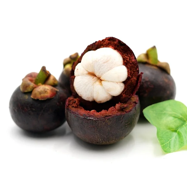 Свежий мангостин для экспорта по конкурентоспособной цене и высокого качества