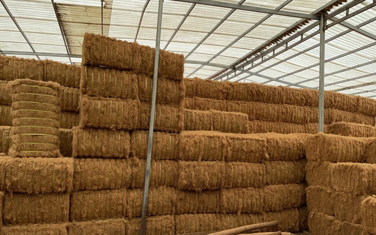 Viet Nam Supplier 100% Natural Coconut Fiber for mattress production Premium quality Brownish yellow