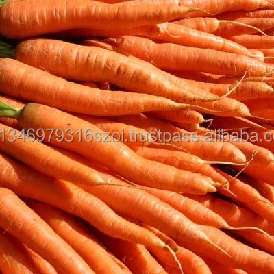 
Fresh Carrots price ,Quality Carrots 