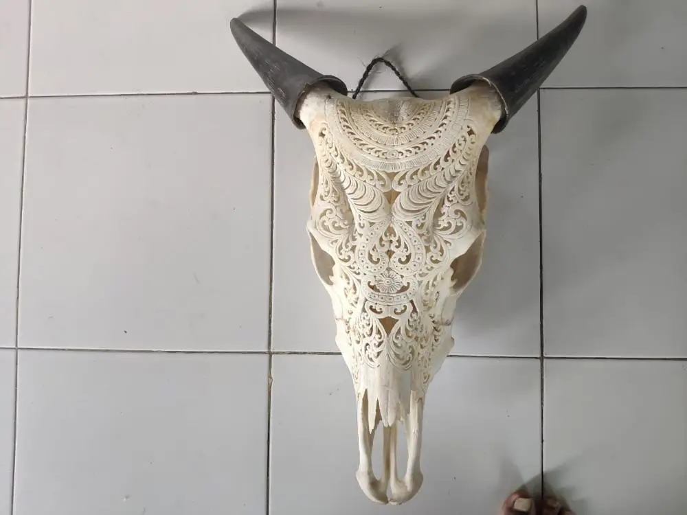 real animal skull cow head hand carved 100% in stock mixed design