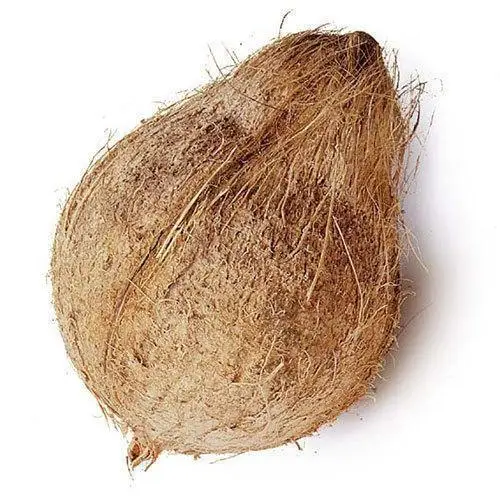 BIG SUPPLY SEMI HUSKED COCONUT FROM EUROPE