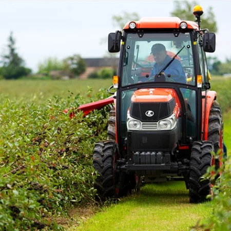 Aronia (Chokeberry) Frozen Fruits IQF