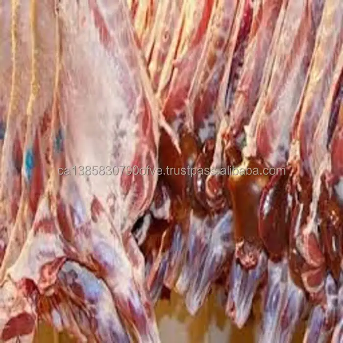 Fresh halal lamb meat.jpg