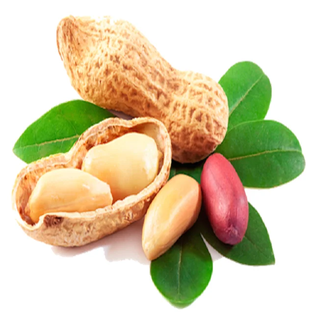 Health in every piece - Groundnut or Peanuts