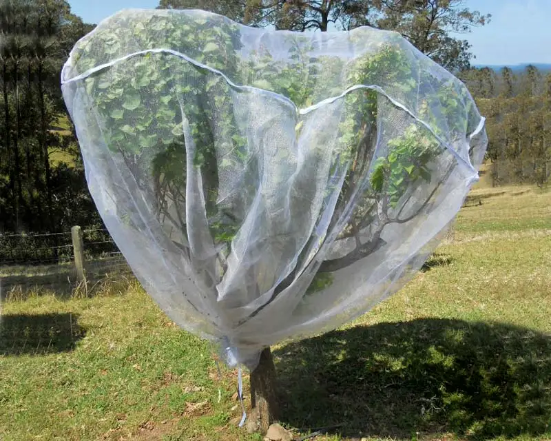 Plant netting prevent tree from insects, pests, birds, chickens fruit tree netting